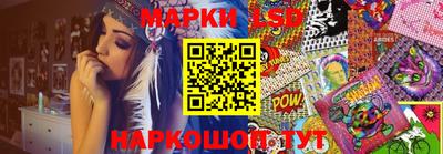 spice Кунгур