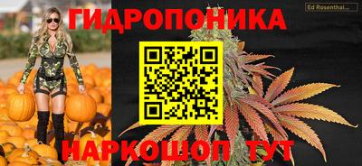 spice Кунгур