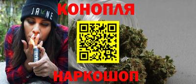 spice Кунгур