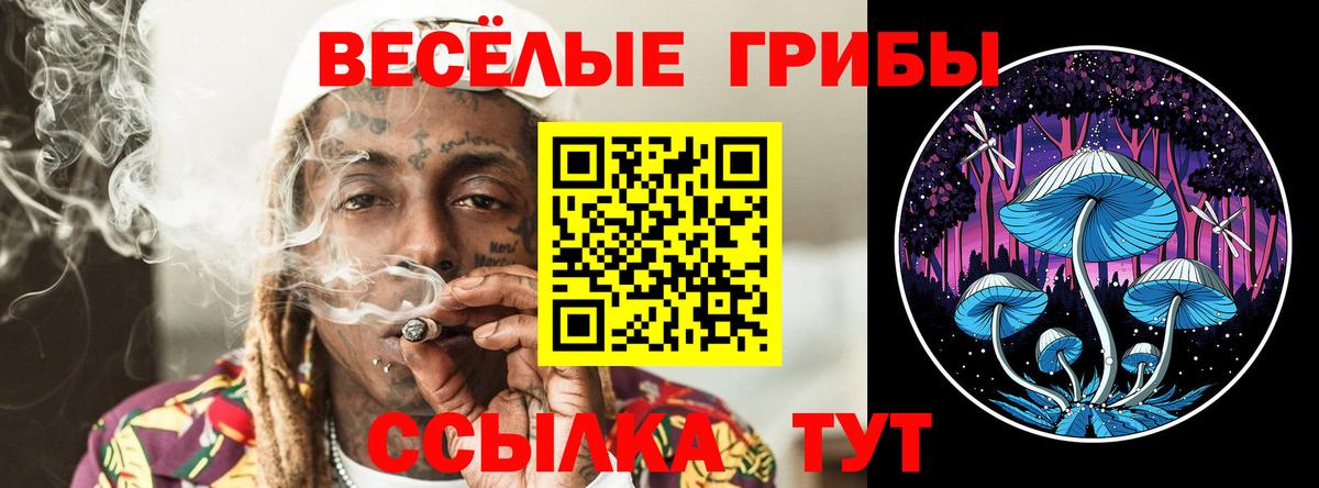 Галлюциногенные грибы MAGIC MUSHROOMS Канаш