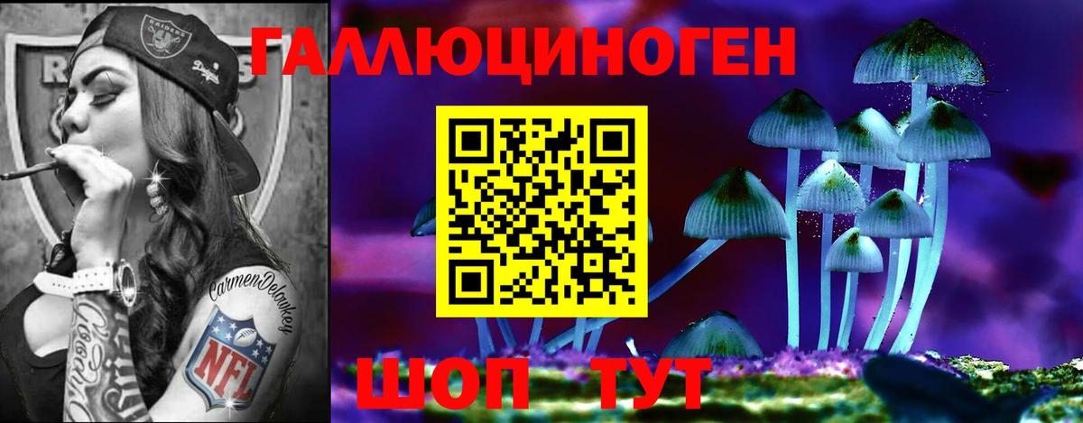 Галлюциногенные грибы прущие грибы  Вход с VPN  Канаш 